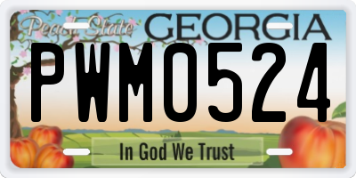 GA license plate PWM0524