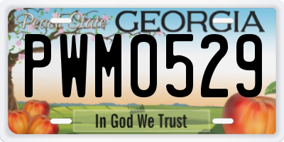 GA license plate PWM0529