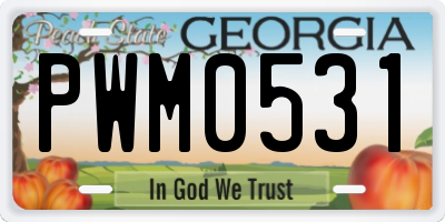 GA license plate PWM0531