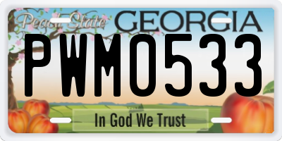 GA license plate PWM0533