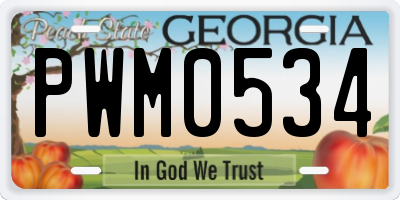 GA license plate PWM0534