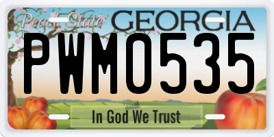 GA license plate PWM0535