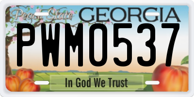 GA license plate PWM0537