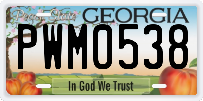 GA license plate PWM0538