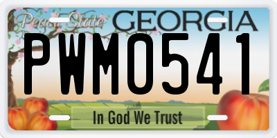 GA license plate PWM0541
