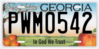 GA license plate PWM0542