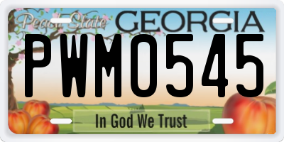 GA license plate PWM0545