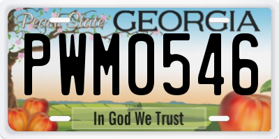 GA license plate PWM0546