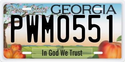 GA license plate PWM0551