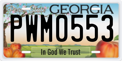 GA license plate PWM0553