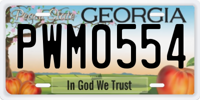 GA license plate PWM0554