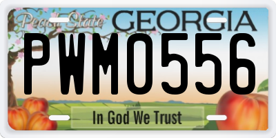 GA license plate PWM0556