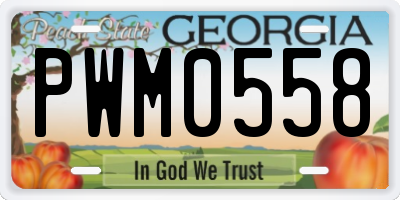 GA license plate PWM0558