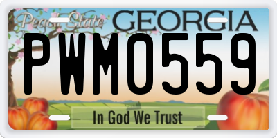 GA license plate PWM0559