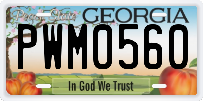 GA license plate PWM0560