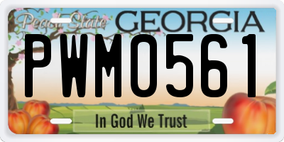 GA license plate PWM0561