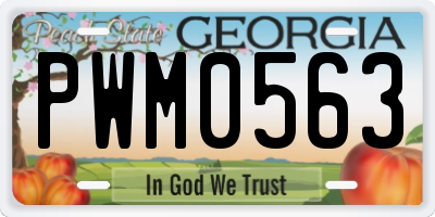 GA license plate PWM0563