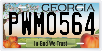 GA license plate PWM0564