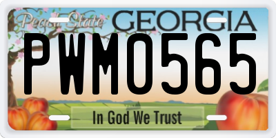 GA license plate PWM0565
