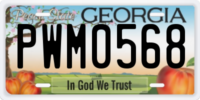 GA license plate PWM0568