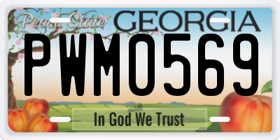 GA license plate PWM0569
