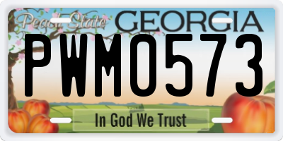 GA license plate PWM0573