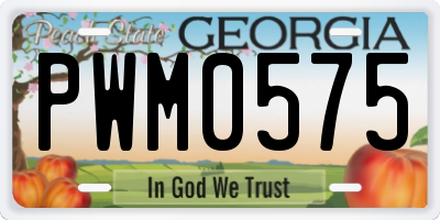 GA license plate PWM0575