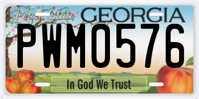 GA license plate PWM0576