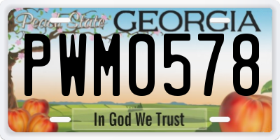 GA license plate PWM0578