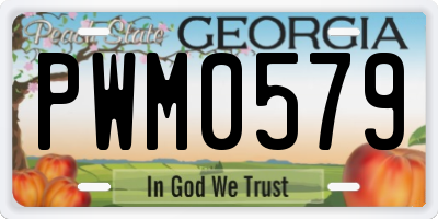 GA license plate PWM0579