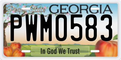 GA license plate PWM0583