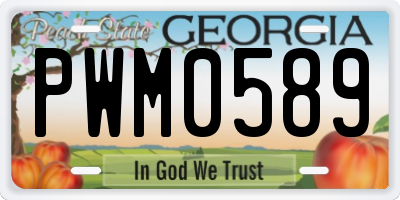 GA license plate PWM0589