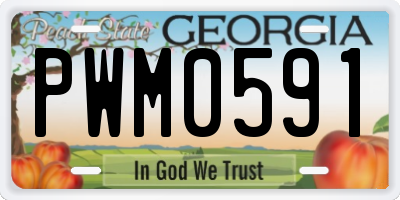 GA license plate PWM0591