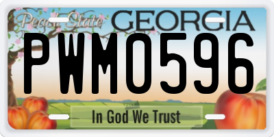 GA license plate PWM0596