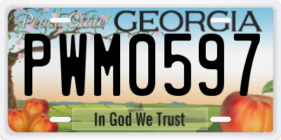 GA license plate PWM0597