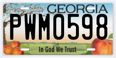 GA license plate PWM0598