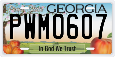 GA license plate PWM0607