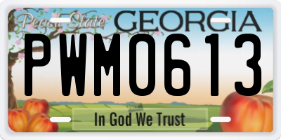 GA license plate PWM0613