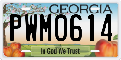 GA license plate PWM0614