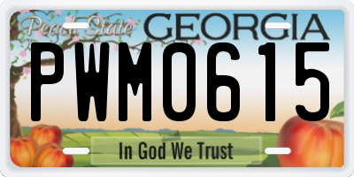 GA license plate PWM0615