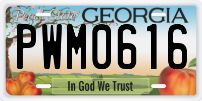 GA license plate PWM0616