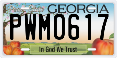 GA license plate PWM0617