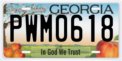 GA license plate PWM0618