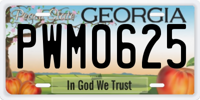 GA license plate PWM0625