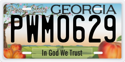GA license plate PWM0629