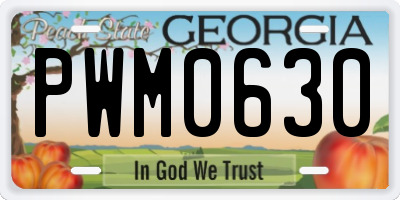 GA license plate PWM0630