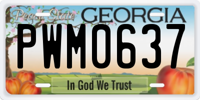 GA license plate PWM0637