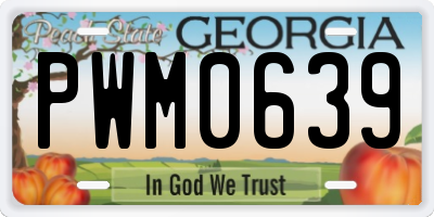 GA license plate PWM0639
