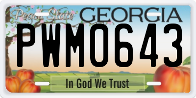 GA license plate PWM0643