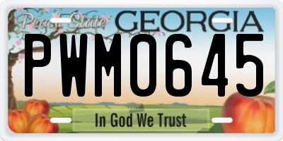 GA license plate PWM0645